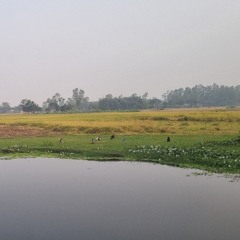 방글라 송