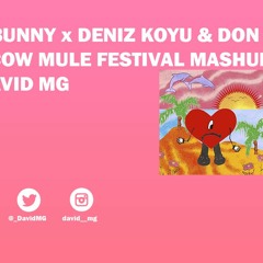BAD BUNNY X DENIZ KOYU & DON PALM - MOSCOW MULE (FESTIVAL MASHUP BY DAVID MG)
