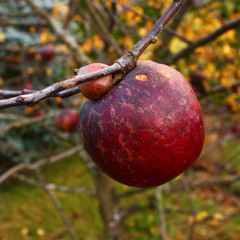 Superstition X All for love