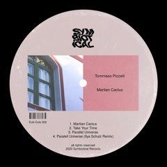 PREMIERE: Tommaso Pizzelli - Parallel Universe (Ilya Schulz Remix) [Dub Cuts 002]