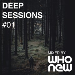 Who New - Deep Sessions Mix 01