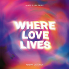 Alison Limerick - Where Love Lives (James Bluck Remix)