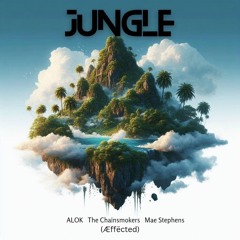 Jungle - ALOK, Chainsmokers (Æffected)