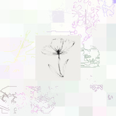 receive these flowers