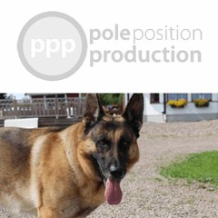 Dog German Shepherd T9 Ext Alley Bark Many Times Fast With Pauses MKH8060