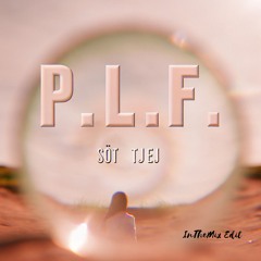 P.L.F. - Söt tjej (InTheMix Edit)