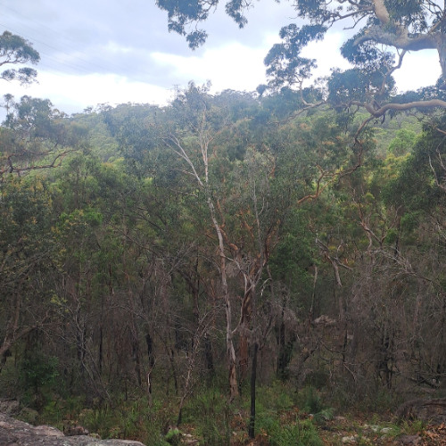 Thinking Will Be My Fucking End One Day