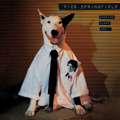 Working Class Dog