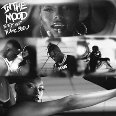 In The Mood (feat. BLEU)