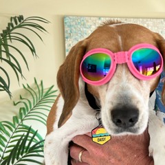 CV93&me_best_of_2025