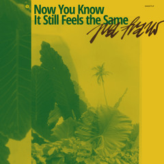 How Fast Can You Love (Rerecorded)