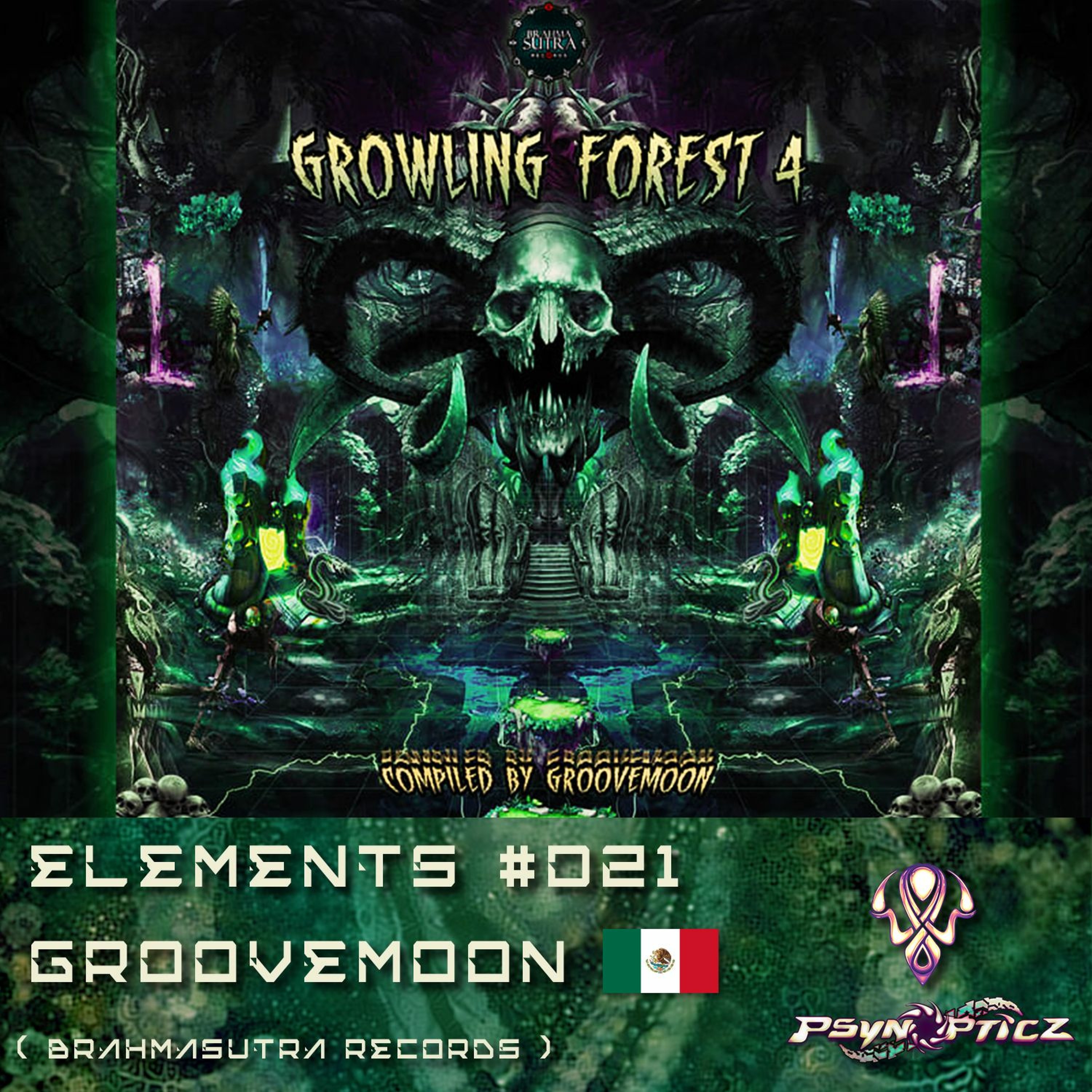 PsynOpticz Records - Psytrance