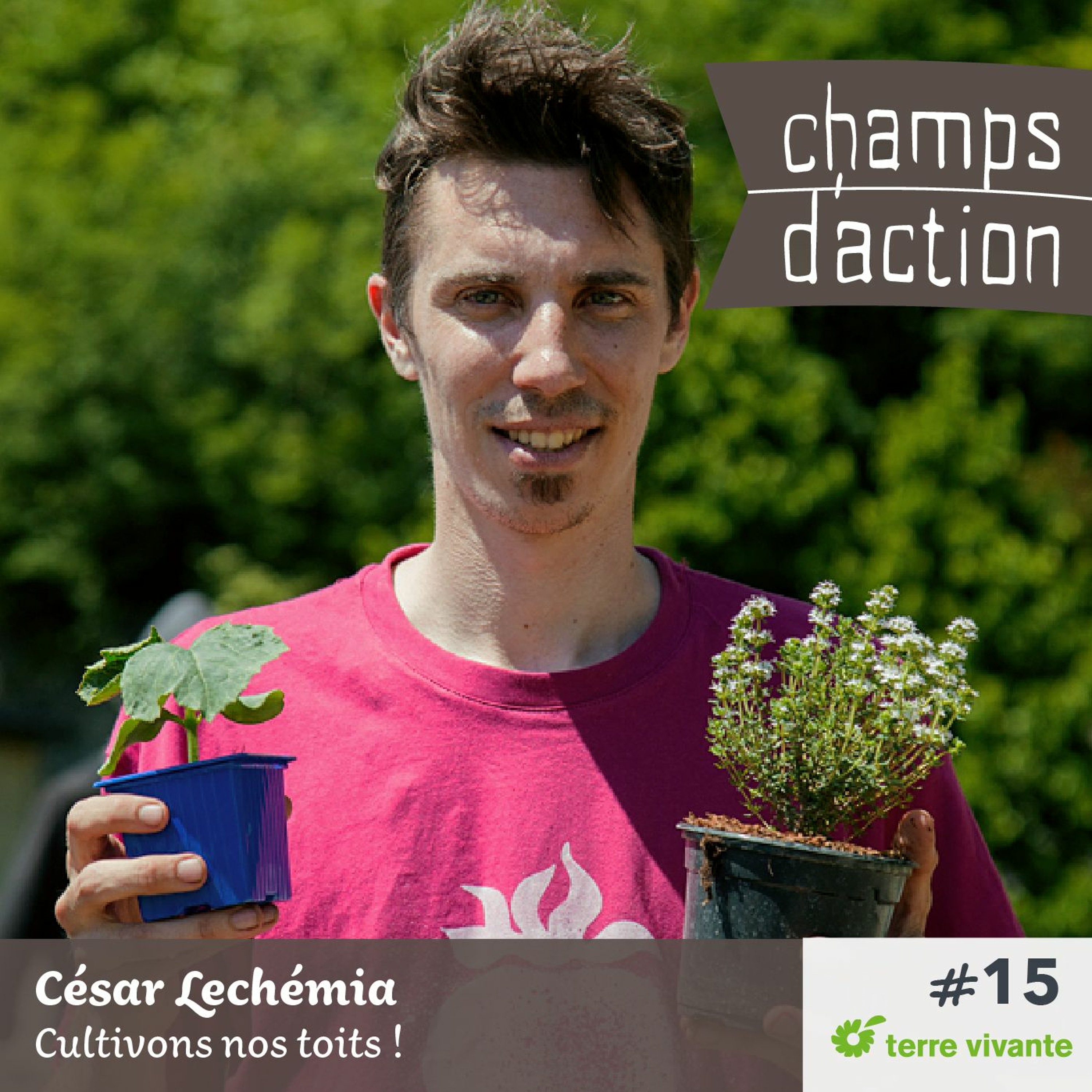 Champs d\'action