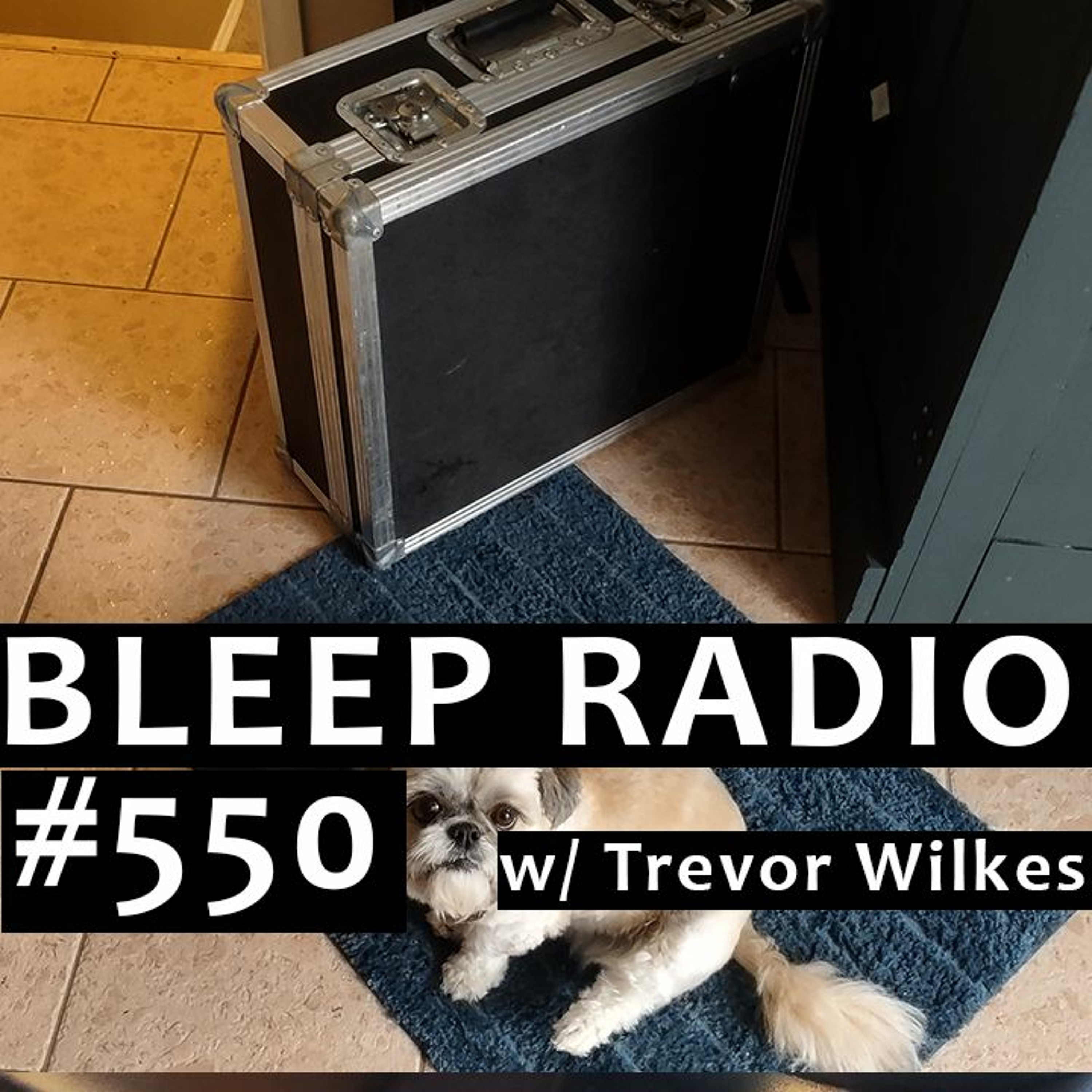 Bleep Radio w/ Trevor Wilkes