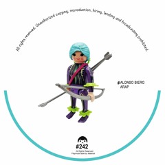 Alonso Bierg - Groove Delight (PLAYMOBIL242)