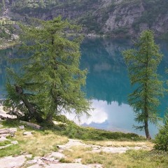 Indian Flute Meditation