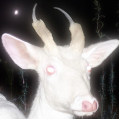 skinny jeans, indigo paradox (goozhe)