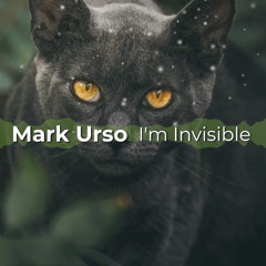 I'm Invisible