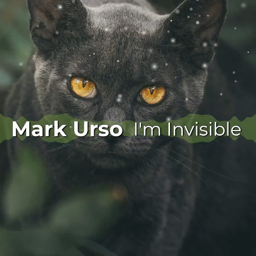 I'm Invisible