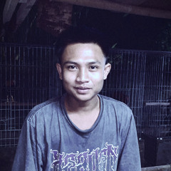 disko bali