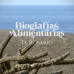 Chinguillero