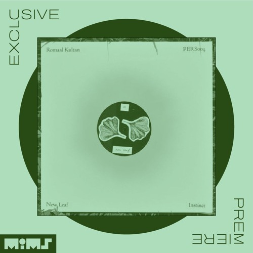 Exclusive Premiere: Romaal Kultan "Instinct" (Forthcoming on Personal Discs)