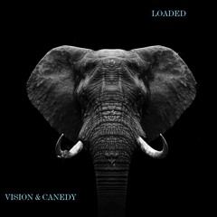 Vision & Canedy - Loaded ''Marc Vision Elephant Remix''
