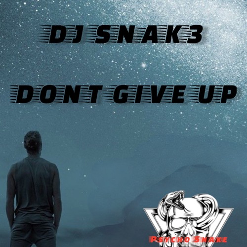 DJ SNAK3 - DONT GIVE UP