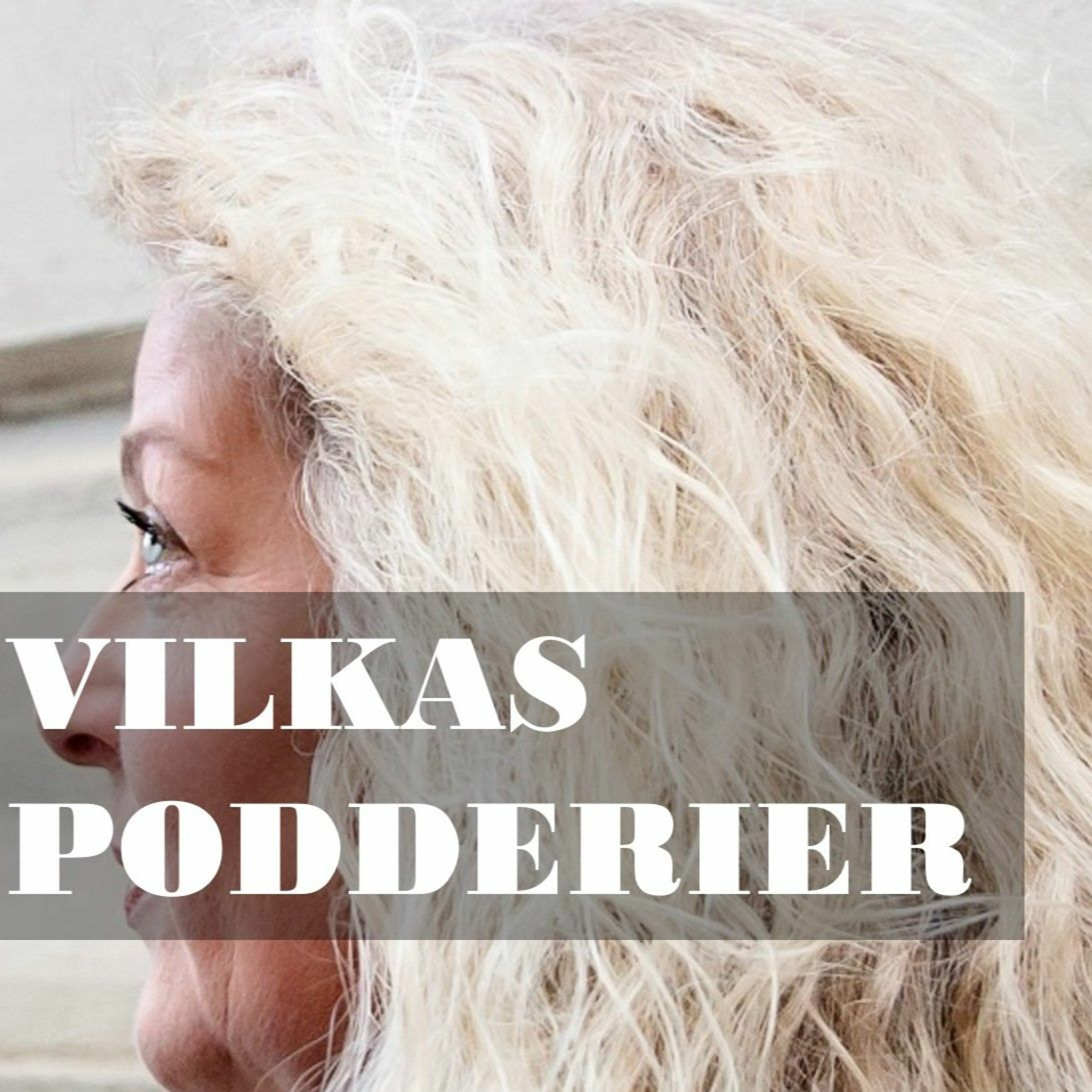 Vilkas Podderier