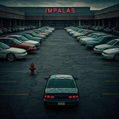 Impalas