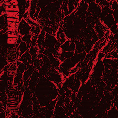 Giirls - Illness (Max T remix)