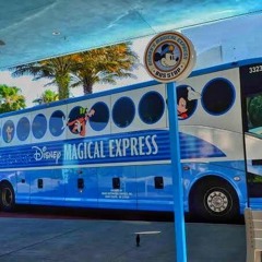 Disney Magical Express #1