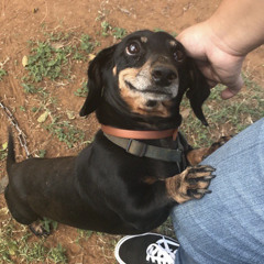 ریمیکس رپ دینله ماهسون و امیرخلوت | دستای گرمتو رد کردم لج کردم