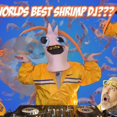Antidepressants 026: Shrimp DJ cooks his Kin || Techno, Trance, Acid & House Mix || Shrimptide