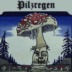 Veles‘ Fliegenpilze - Pilzregen