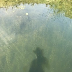 Messages from Dreamland 210124