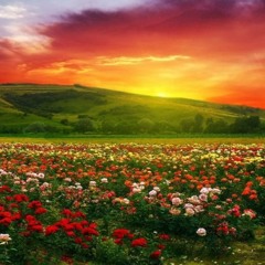 Sweat A La La La La Long Inner Circle & Rootsie Boopsie Papa Winnie