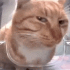 POKERFACE (Bl1tzbe4t Remix)