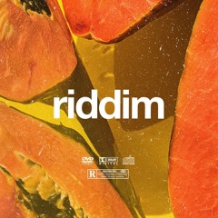 (FREE) | "Riddim" | B Young x Rema x Tiwa Savage Type Beat | Free Beat | Afrobeat Instrumental 2024