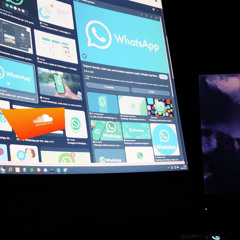 flip whatsapp sl3nder
