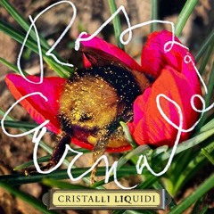 Cristalli Liquidi & Deux Control - Rosso Carnale (Italo Version)