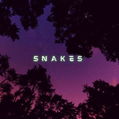 snakes (prod. CapsCtrl)