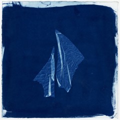 wlr121 Fossil Hunting Collective - Cyanotypes