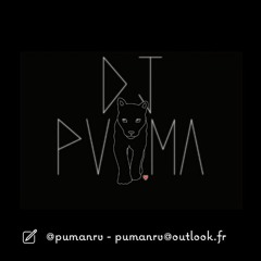 L'histoire de la vie remix carribéen by Dj Puma