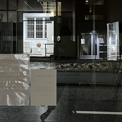 Chinese beginnings (listening session 210123)