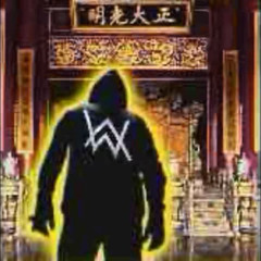 if walker born in china DJ小赤佬+MC光小明 Remix