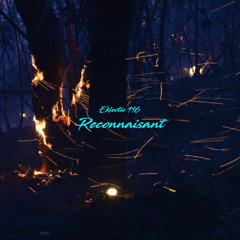 Eklectic 116 - Reconnaisant