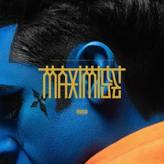 PAV4N, Foreign Beggars X Silverstrike- MAXIMISE