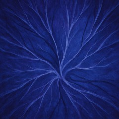 Divergente Indigo