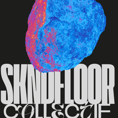 SKND - BOBO - Vol de nuit